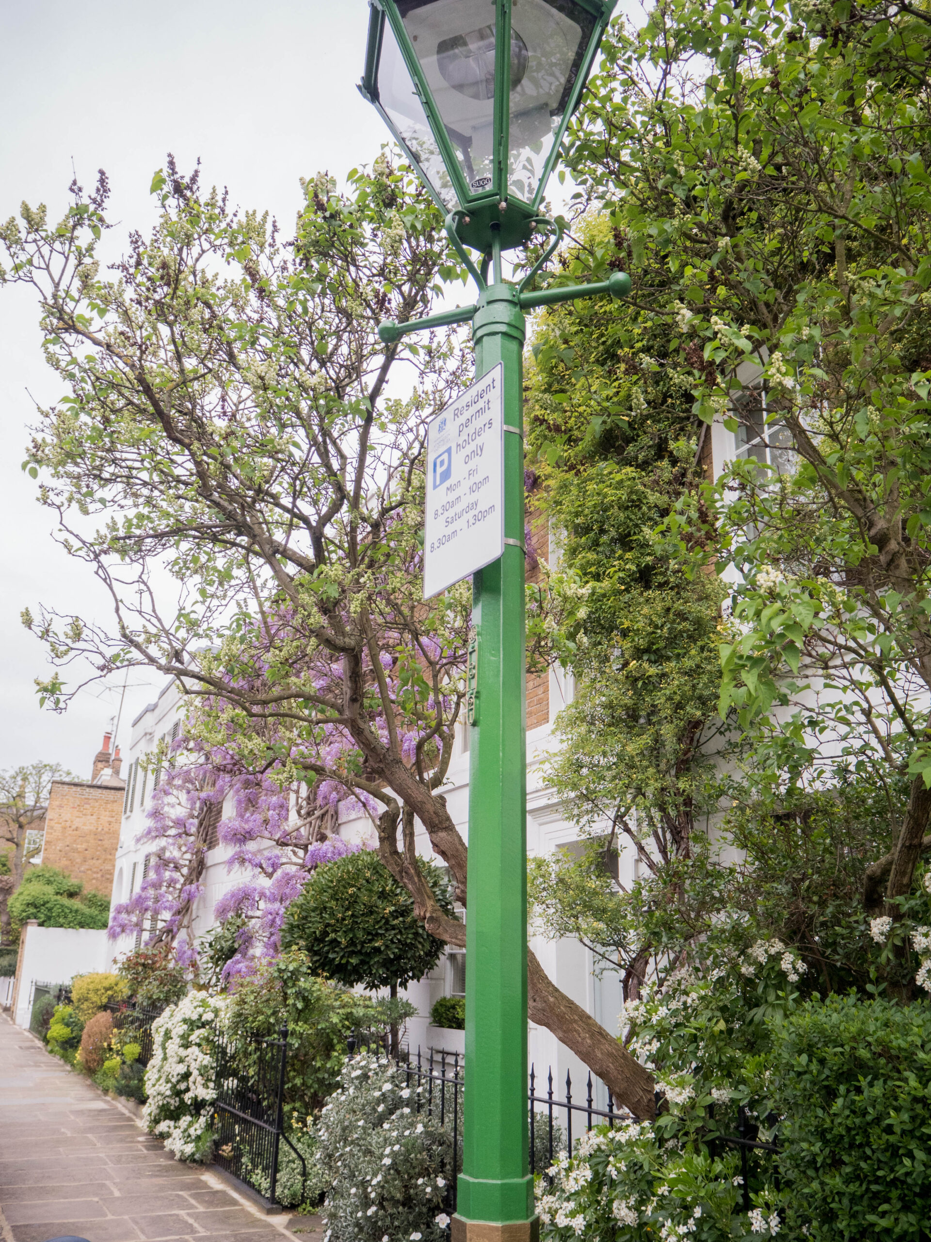 Ghenet Actually || 6 Places in London to Spot the Best Wisteria