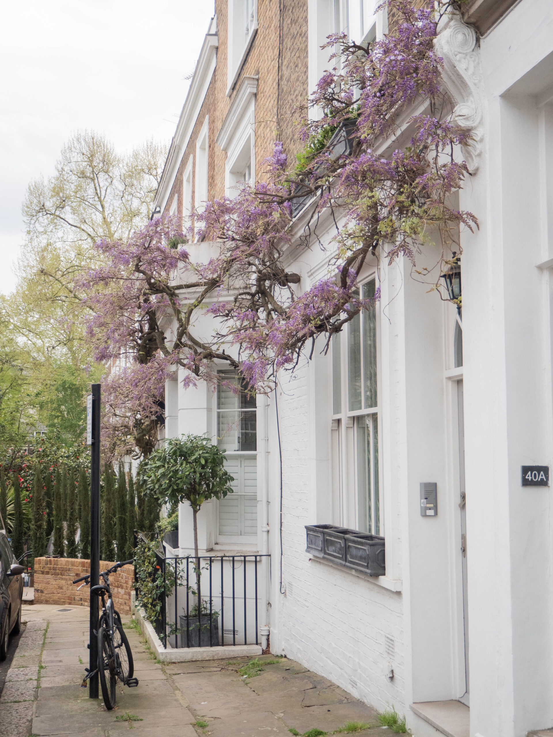 Ghenet Actually || 6 Places in London to Spot the Best Wisteria