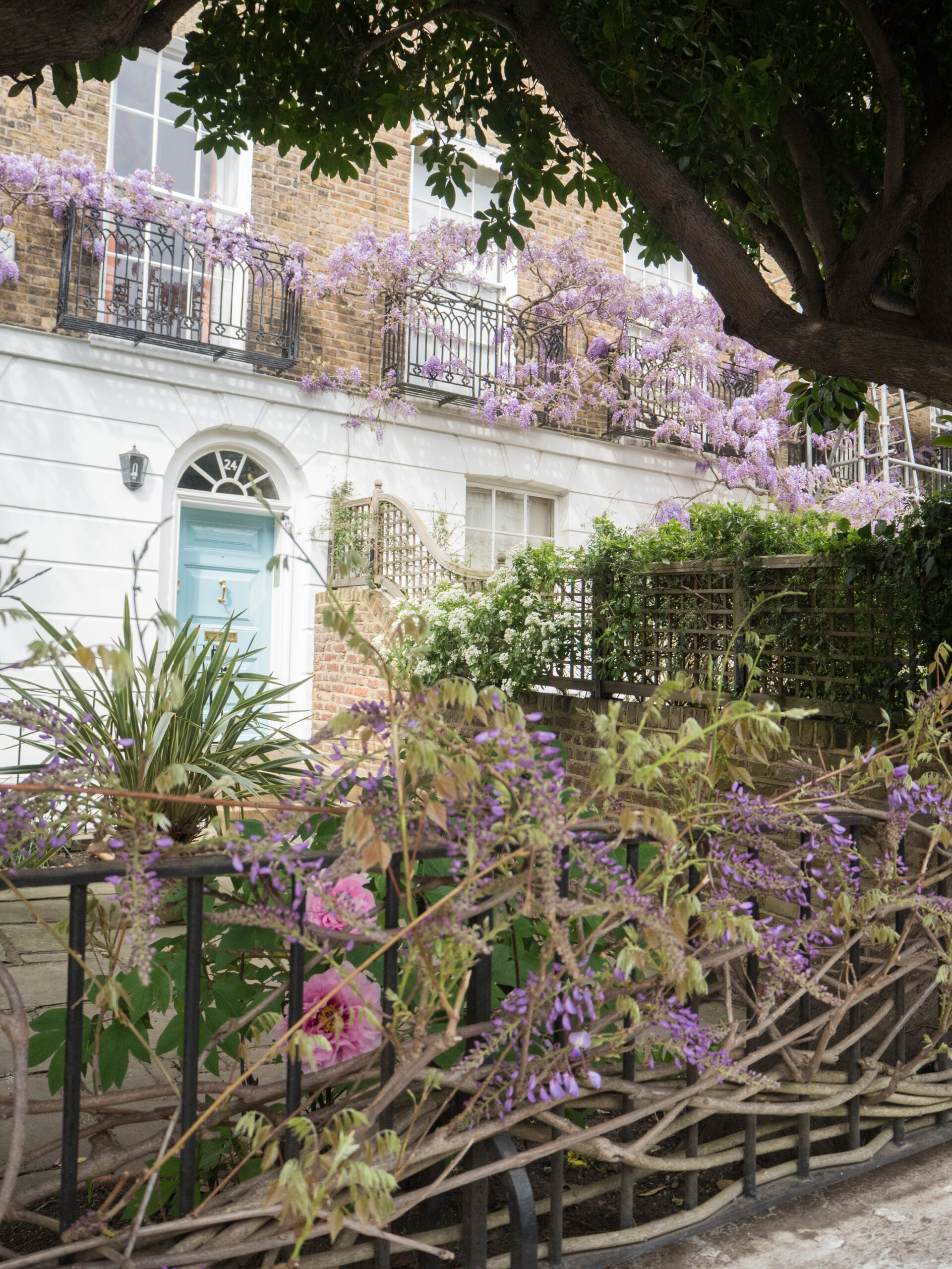 Ghenet Actually || 6 Places in London to Spot the Best Wisteria