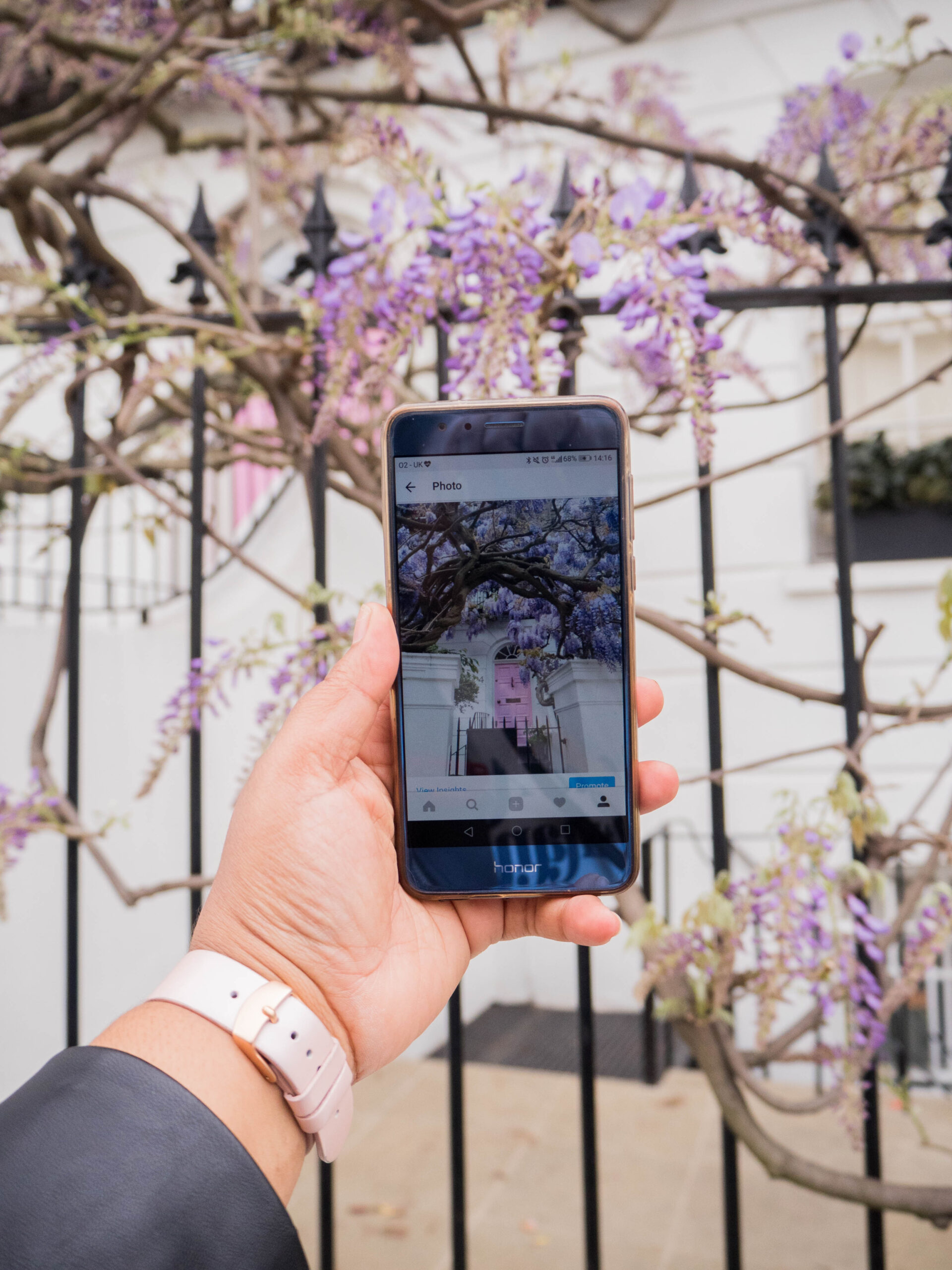 Ghenet Actually || 6 Places in London to Spot the Best Wisteria