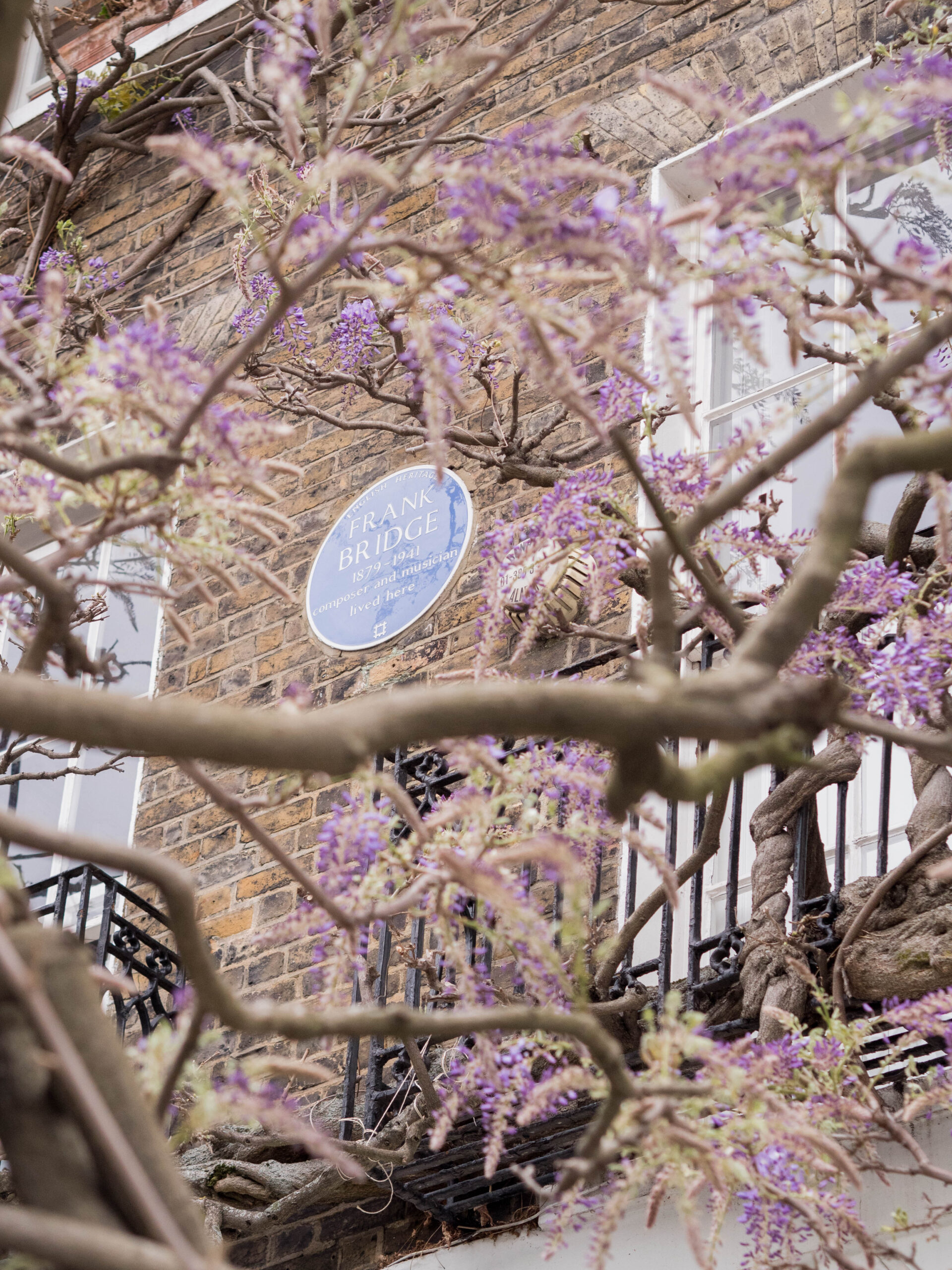 Ghenet Actually || 6 Places in London to Spot the Best Wisteria
