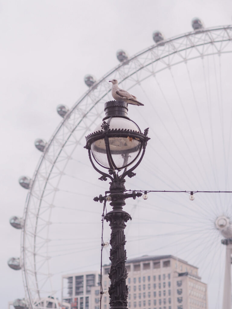 Ghenet Actually || Moving to London Was The Scariest and Best Thing I've Ever Done